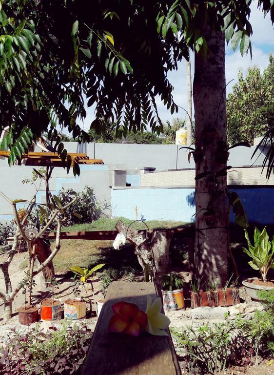 فندق نوسا ليمبونغانفي  Lembah Bhucarya المظهر الخارجي الصورة